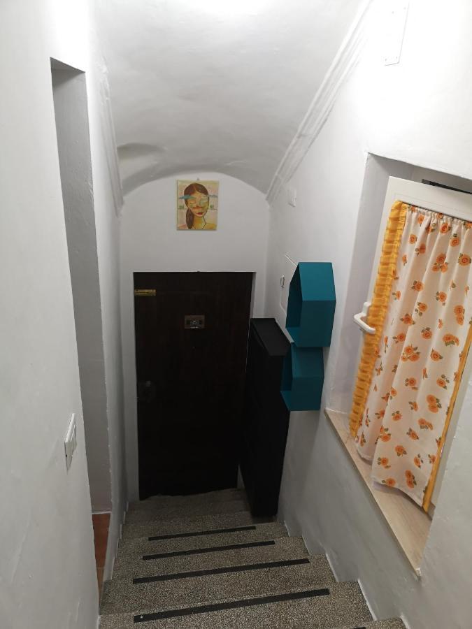 Appartamento Tipico In Centro Storico Urbino Dış mekan fotoğraf